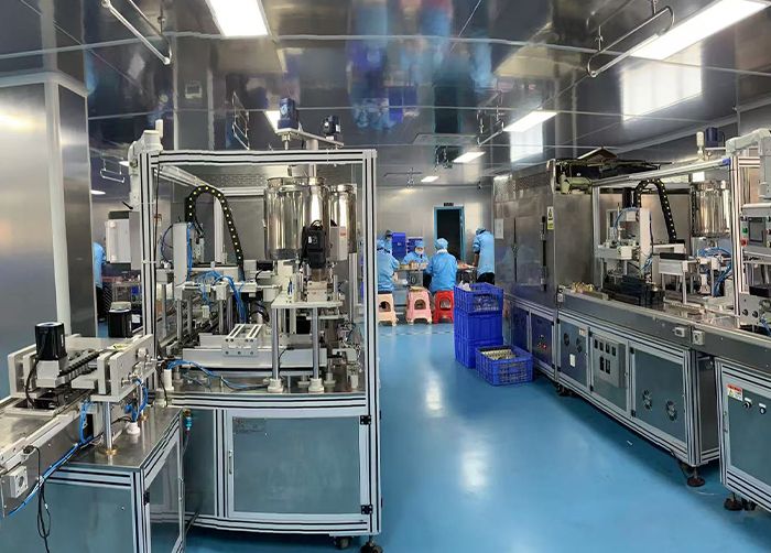 Comprehensive Customization Services