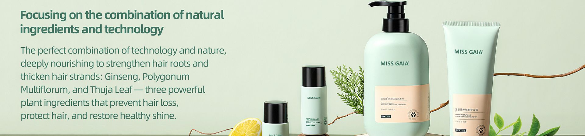 Personal Care